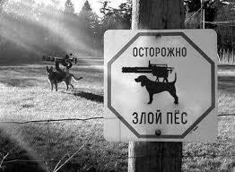 не соврали