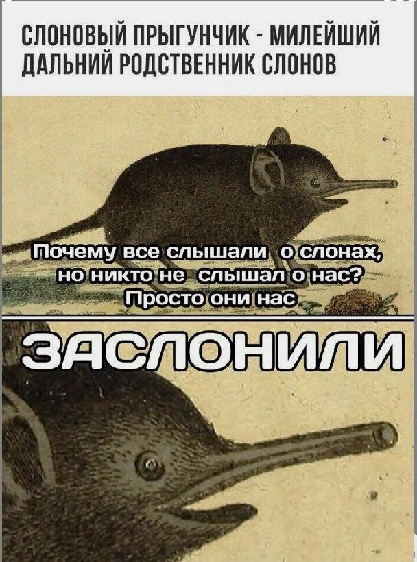 Мем от Alex)