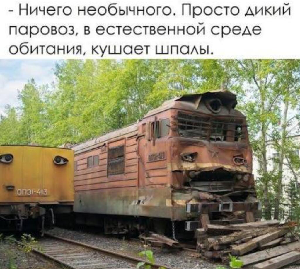 Ржавый тепловоз с глазами на боковине и передом, будто ест деревянные шпалы; надпись про дикий паровоз