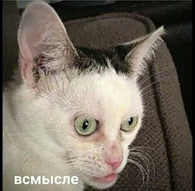 Когда я сделал все дела по дому и сел на диван а мама говорит что ты нечего не делаеш
