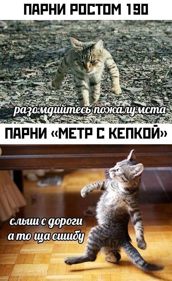 Мем от Джоджофаг