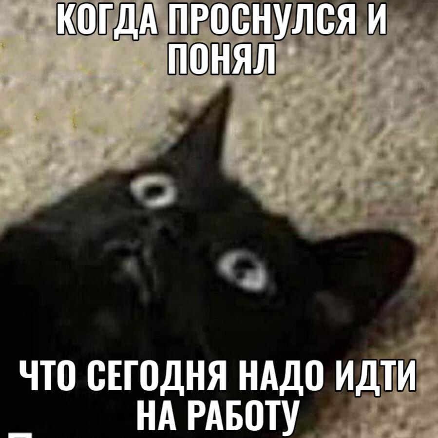 Мем от Mish0k [ПЛМ]