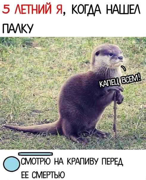 Мем от KriKr1p