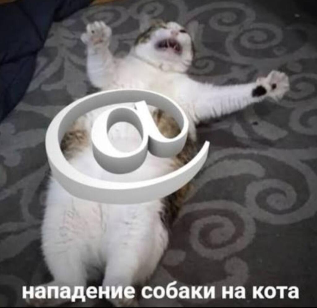 Кот лежит на спине с поднятыми лапами и открытым ртом, сверху наложен символ собачки @, внизу подпись нападение собаки на кота