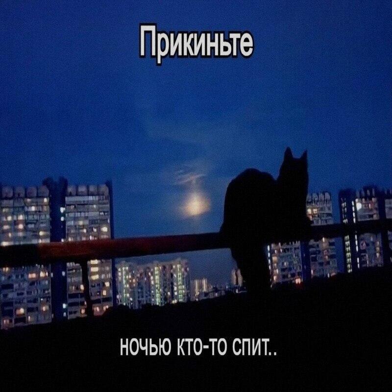 Мем от Милый Котяра