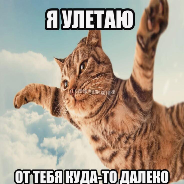 Это я улетаю с тт в мемозг