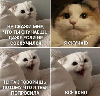Мем от memas