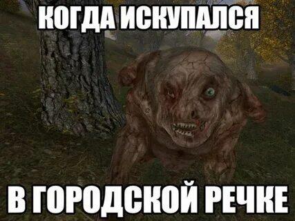 Мем от memas