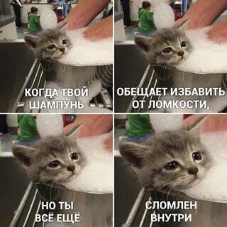 Мем от memas