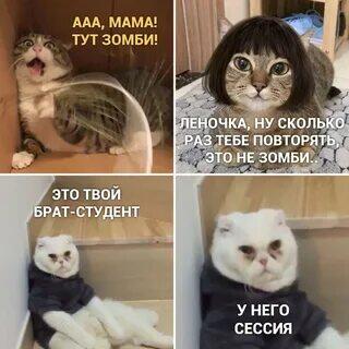 Мем от memas
