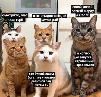 Мем от memas