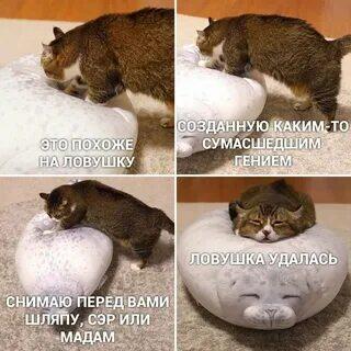 Мем от memas