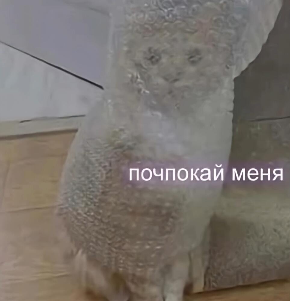 Мем от Илюха {ПЛМ}