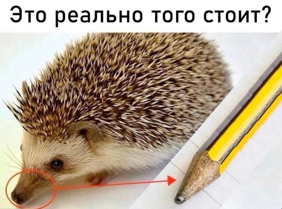 Мем без подписи