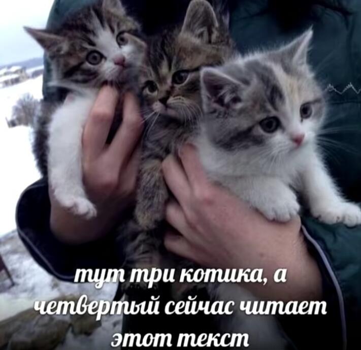 Мем от Батя