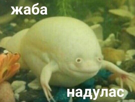 Сегодня среда мои чуваки