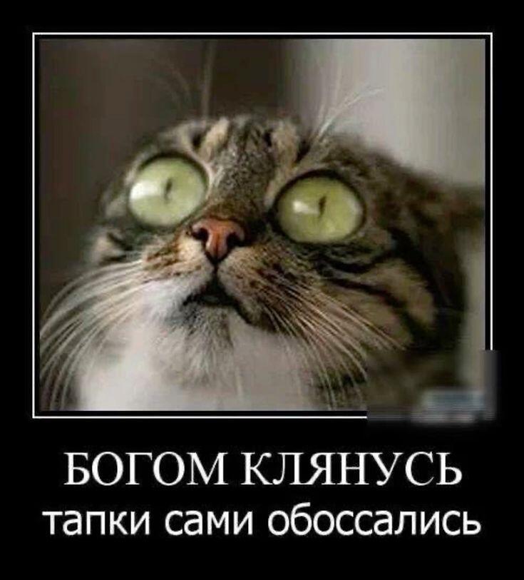 Да что ты говоришь