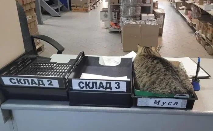 Муся как склад булочек🥰