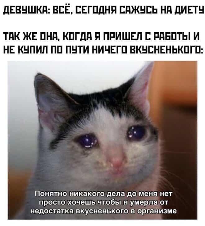 Белый кот с тёмной шапкой смотрит грустно, снизу надпись про отсутствие вкусненького после работы
