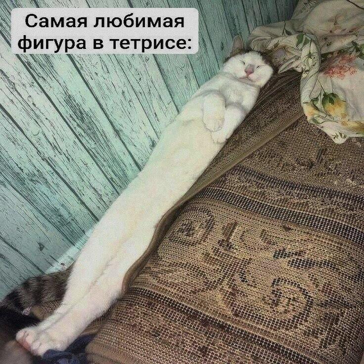 Мем от Милый Котяра