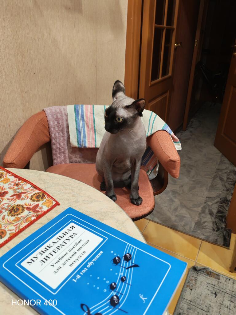 Фотосесия кота Баксюли😁