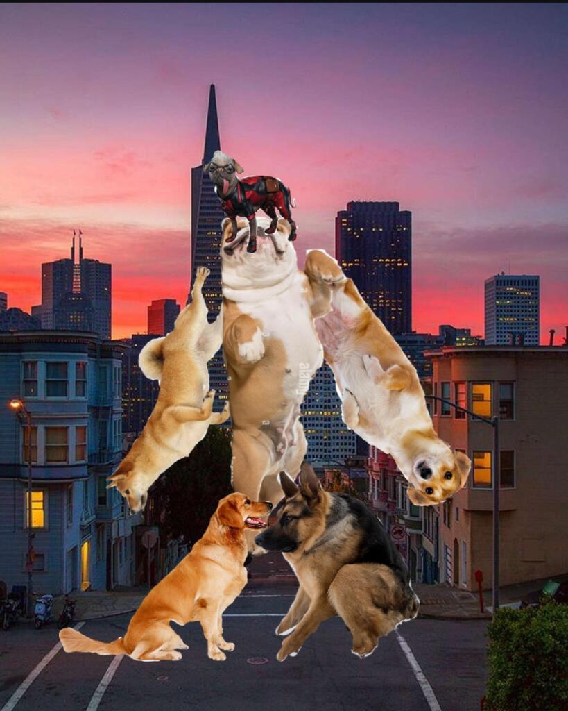 Вот всё что связано с котзилами и собзилами (все 10)