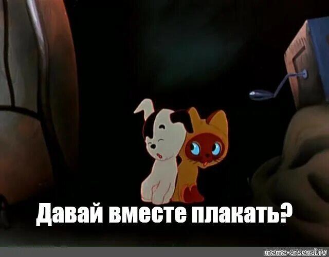 Мемы про котёнка по имени Гав