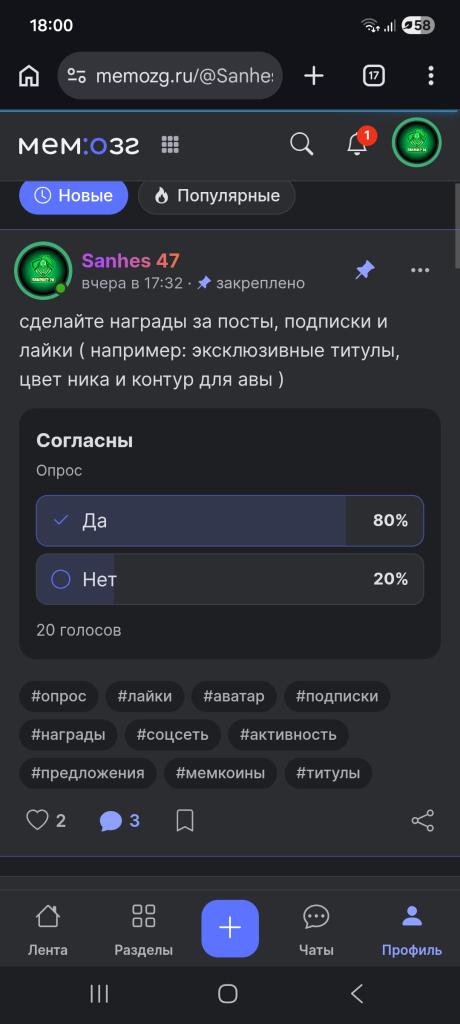 Скриншот опроса на сайте Мемозг с вопросом о наградах за посты, лайки и подписки, за Да проголосовали 80 процентов