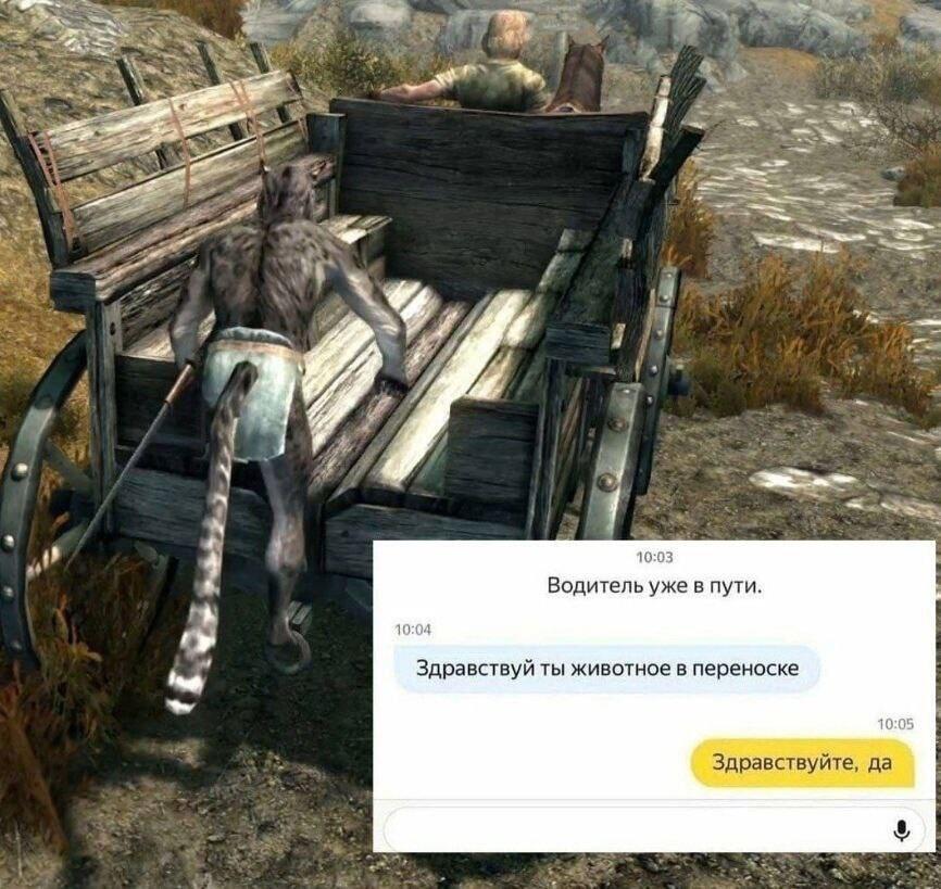 Мем от Брахмапутра