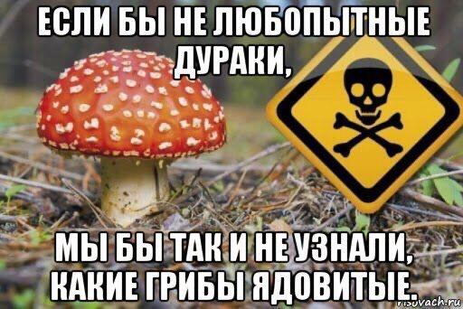 Мем без подписи