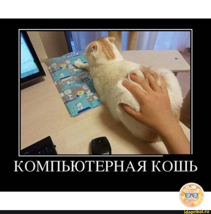 Интересно, а она есть компьютерных мышей...