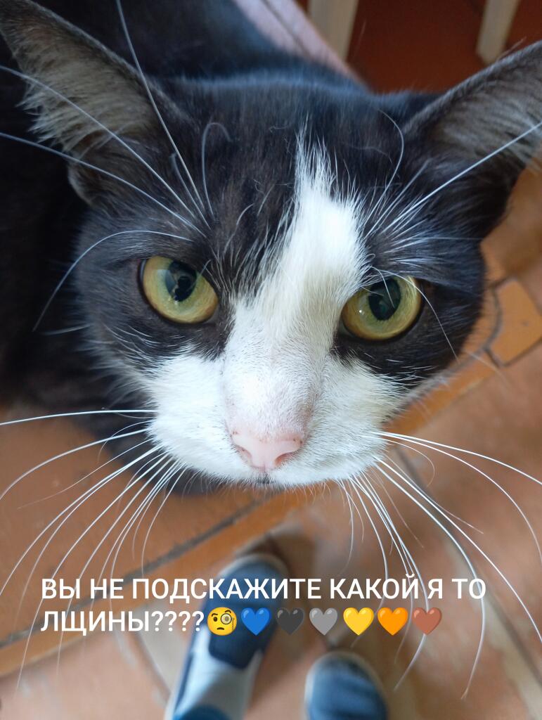 Мем без подписи