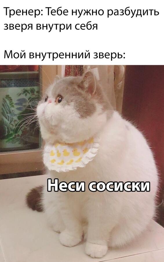 Мем от Водка