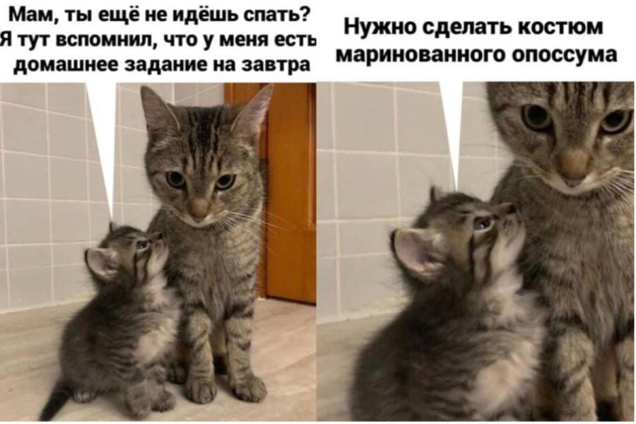Мем от Водка