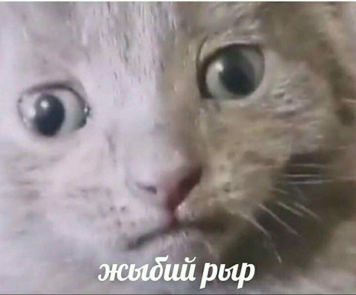 Мем от Водка
