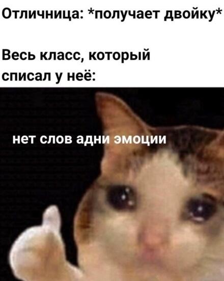 Мем от Водка