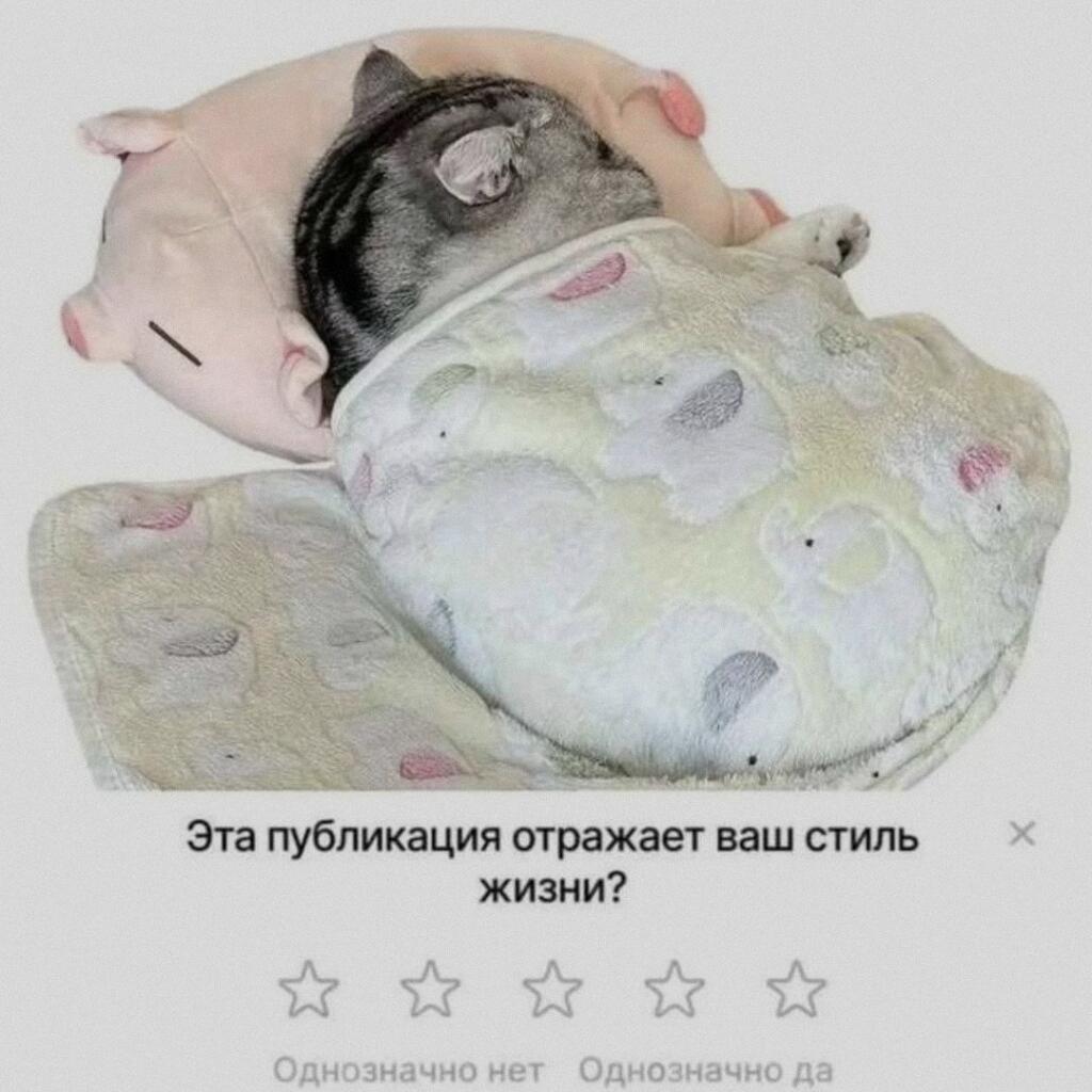 Мем от Милый Котяра