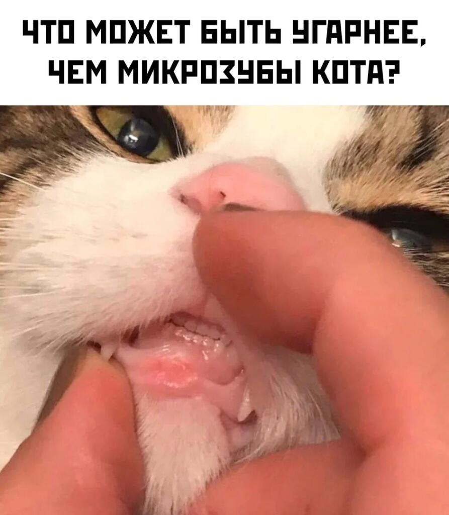 Мем от Мемный Мозг[бебебеПлм]
