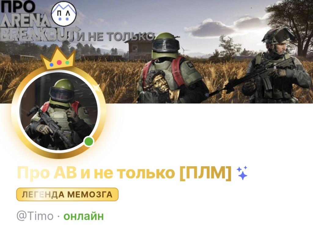 Скриншот магазина с балансом 990 мемиков и подписью плюс 276 за последнюю неделю (2 из 2)