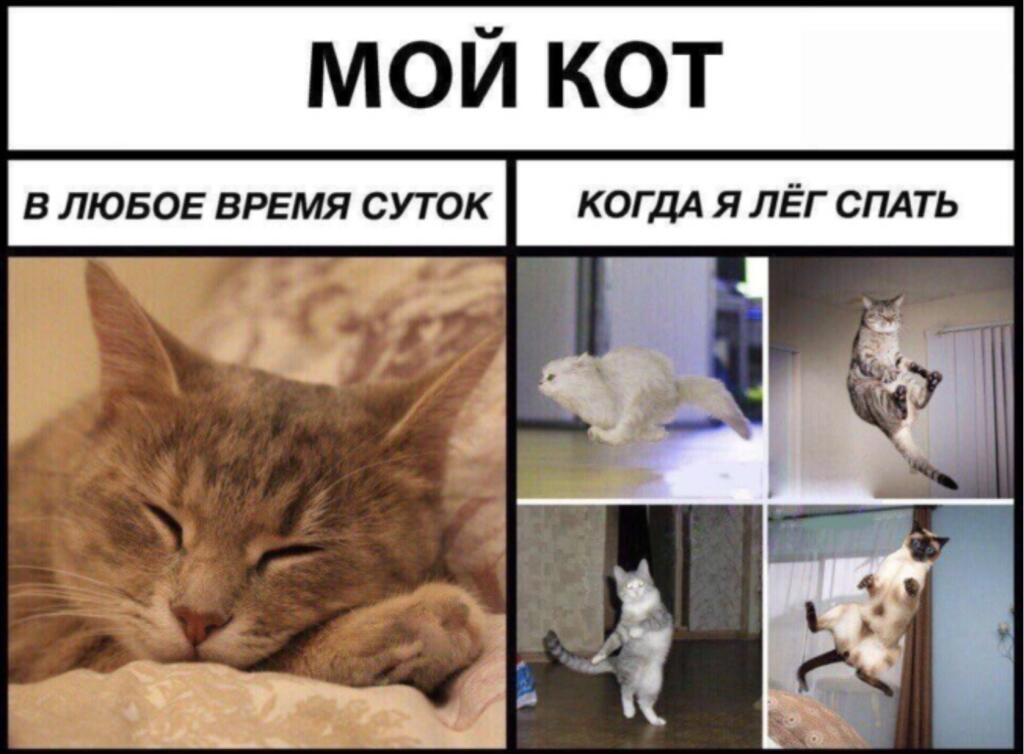 У кого жиза???