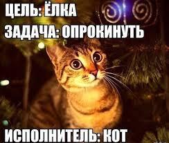 Мем от z cjnhe ct,z bp buhs [NOT PLM]