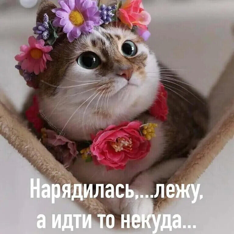 Мем от Маняffка