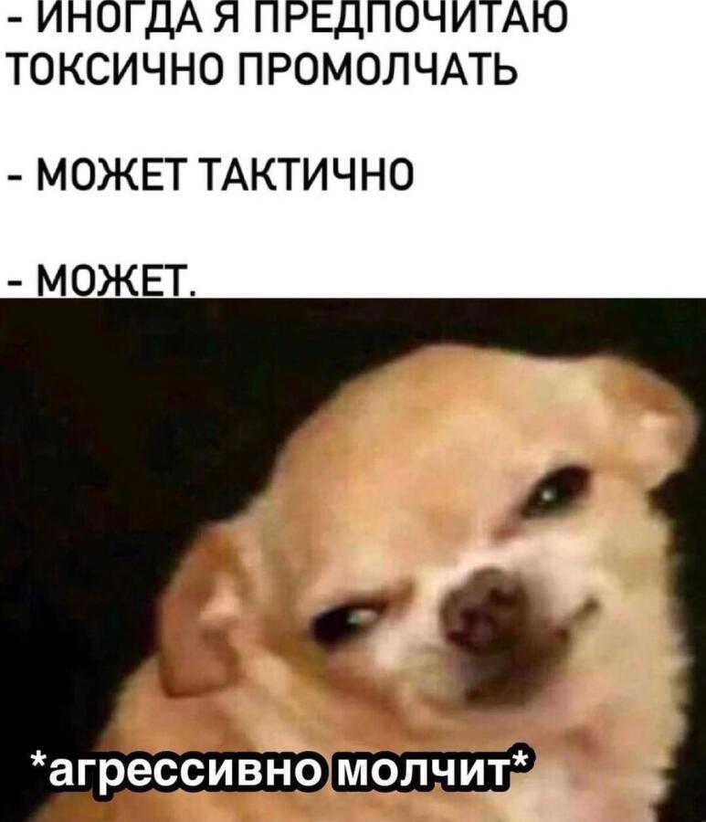 Мем от Пяльмень