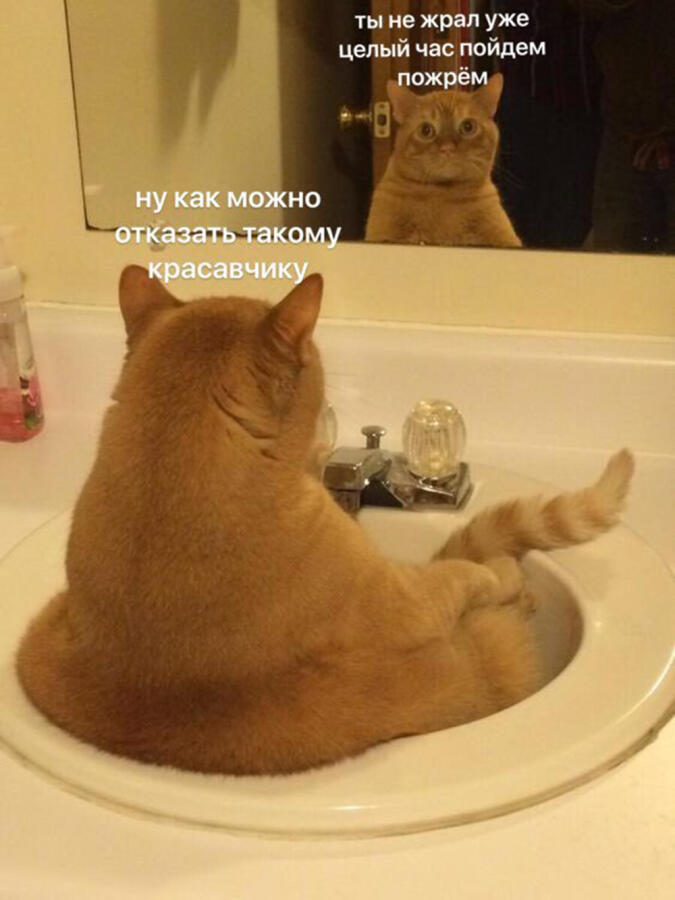 Мем от Пяльмень