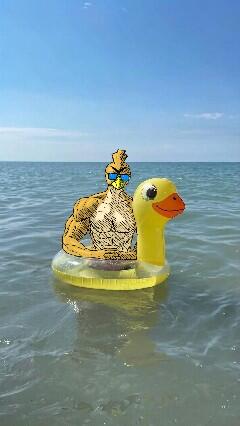 фоточка с моря >:∆