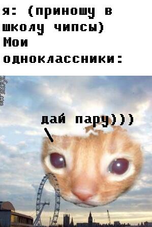 М... чипесы...