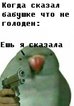Хочу пирожков(