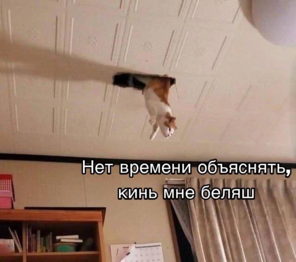 Мем от Милый Котяра