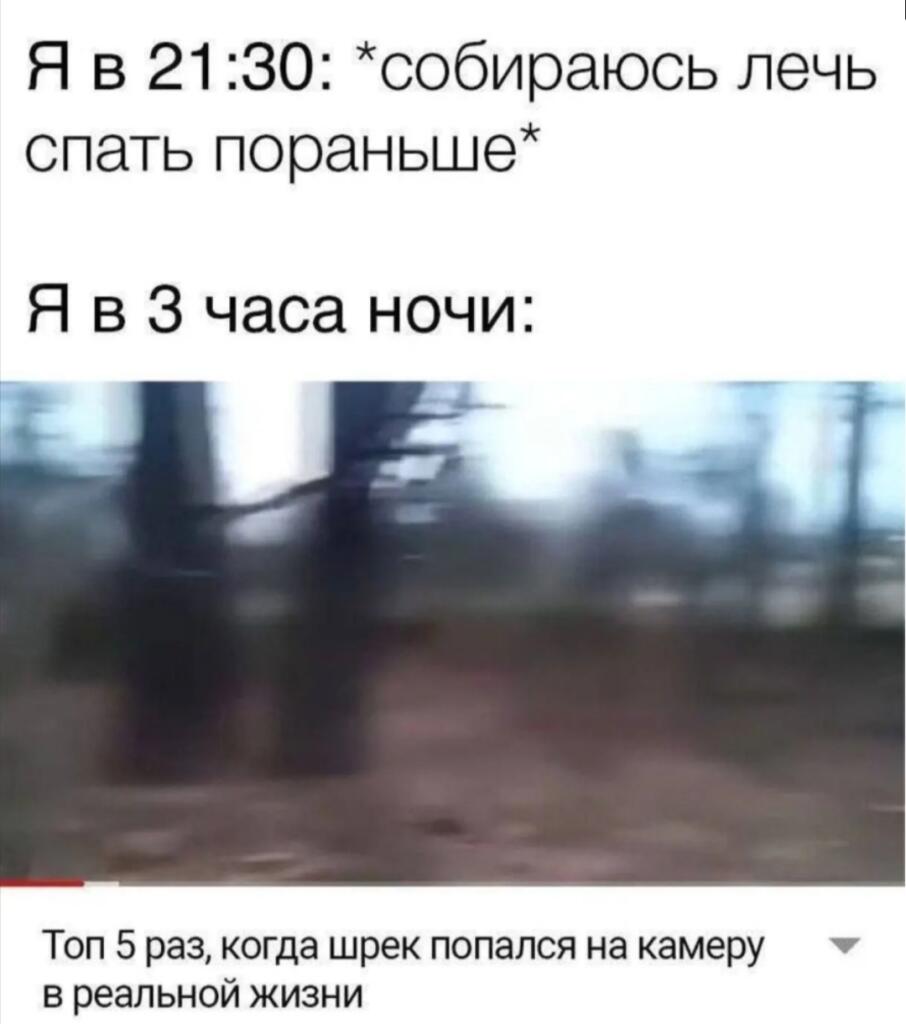 Мем: Я в 21:30: собираюсь лечь спать пораньше. Я в 3 часа ночи: смотрю Топ 5 раз, когда шрек попался на камеру в реальной жизни