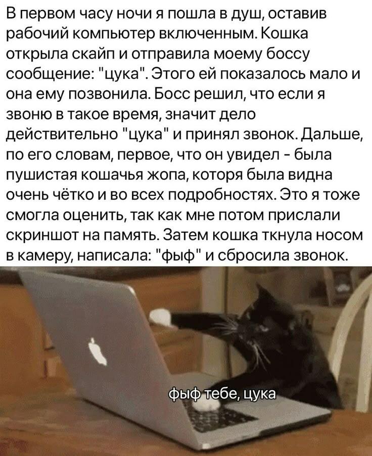 Кощьки как всегда лучшие